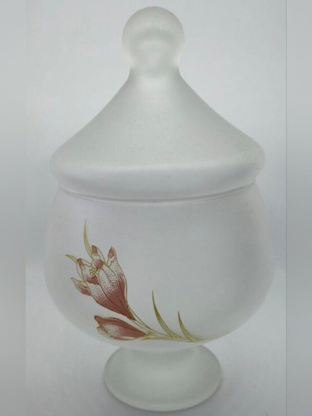 Paşabahçe 6.5" Frosted Glass Jar Floral Decorative Vanity Cottagecore Trinket